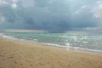 Central & Calm Oasis, Fast Fiber WiFi, Free Parking, Free Netflix, 6 Guests