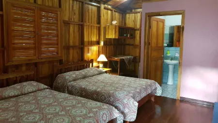 失落城市生態小屋