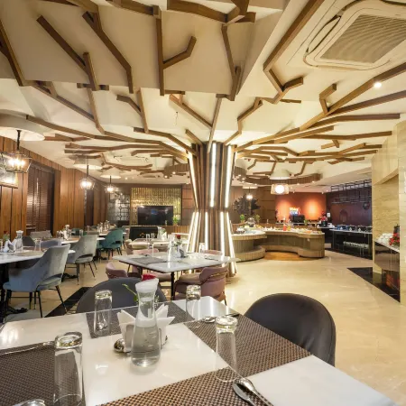 Hotel Snowland Srinagar
