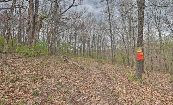 Cozy Bidwell Cabin w/ Deck: Trail & Creek Access!