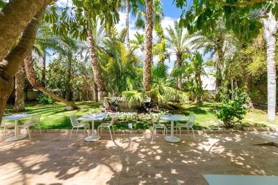 庭 ホテル アレカの写真