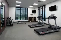 Hilton Garden Inn Gallatin - Gym