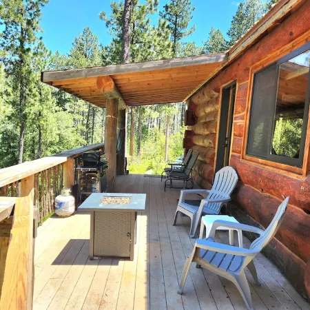 Cozy Cabin Nestled on the Side of Our 21 Acre Mountain - 10 Min to Spearfish!