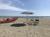 Mansion - Forte dei Marmi