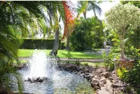 Maui Banyan fave! Ocean View, Renovated, Steps to the Beach, King Bed, Split AC - 3-Star