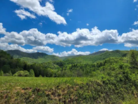 Dog Friendly Smoky Mts A-Frame with Views and Modern Decor