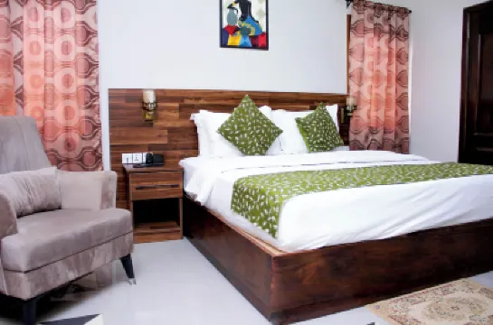 Rainforest Lodge Hotels in 