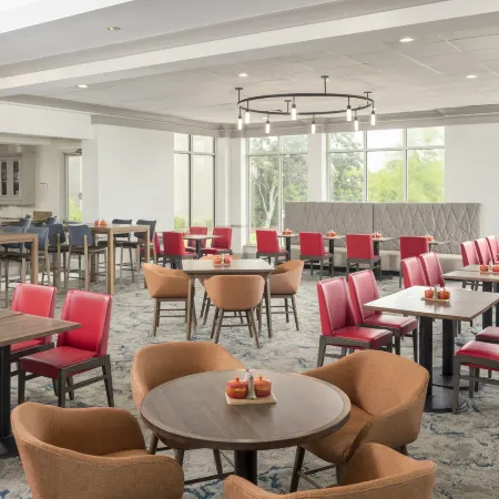 Hilton Garden Inn Lafayette/Cajundome