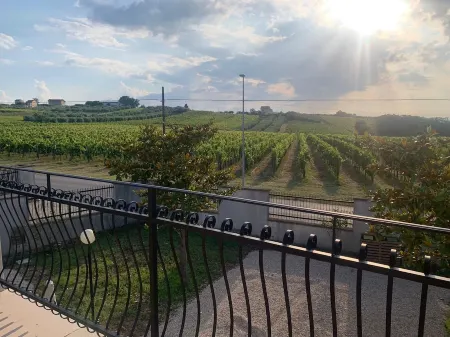 Apartment3 Hill Costa Dei Trabocchi Отели рядом с достопримечательностью «Chiesa di Fossacesia Marina»