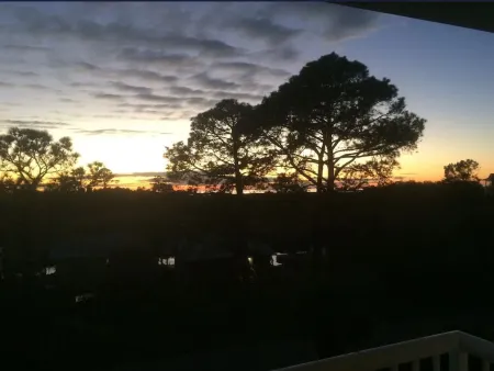 Sunsets, Canal Front, FISH, FISH, FISH! Suwannee Cove - Unit 207, Boat Slip 23