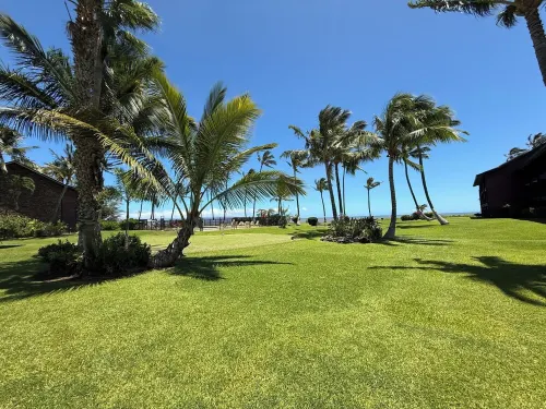 Spacious Molokai Style Condo - Locally Owned
