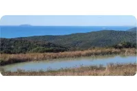 Charming Sea View Apartment