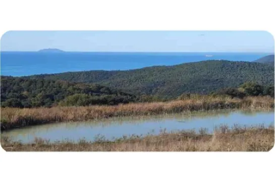 Charming Sea View Apartment