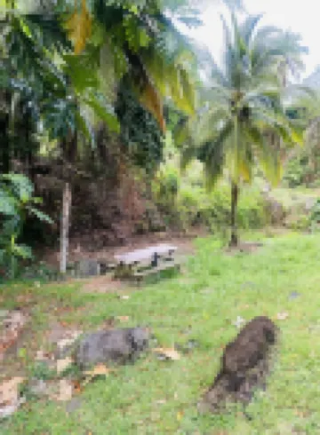 Villa Zabitan with Jacuzzi and river