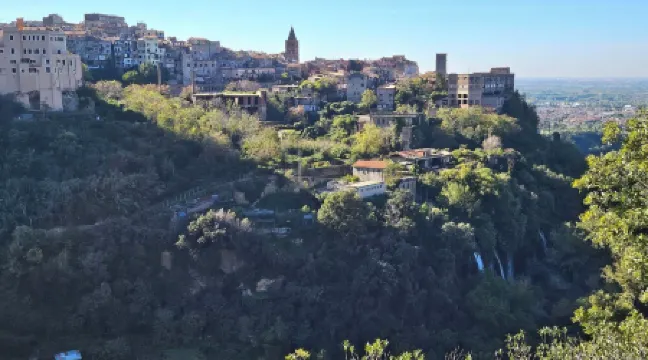 Cozy downtown apartment within walking distance of the most attractive spots