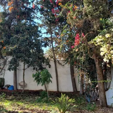 Grand Appartement Paisible, 3 Chambres, vue sur Jardin, Central à Rabat