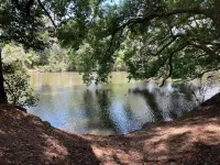 Wildwood Oasis: Hinterland & Coast Escape