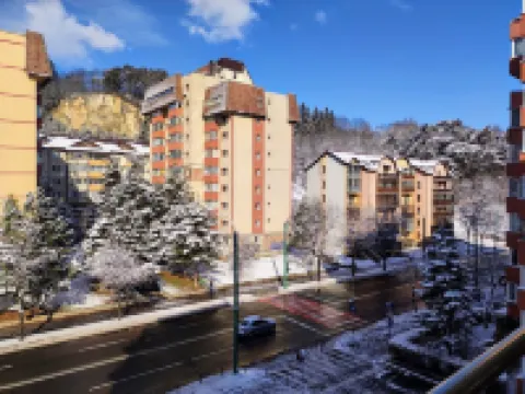 Forest View Family-friendly Charming Apartment in Brașov with Free Parking &WiFi