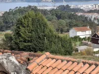 Pet friendly vacation rental house