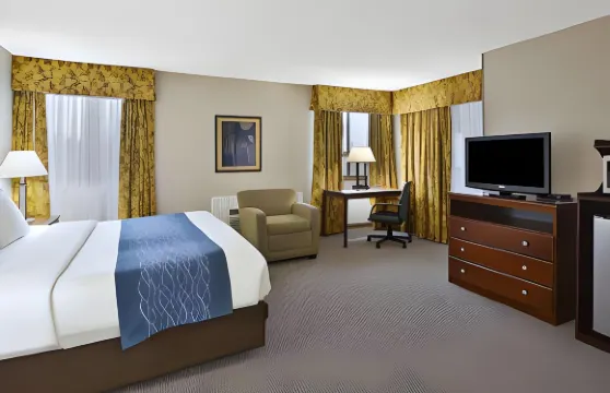 品質酒店大布蘭克 - 弗林特南