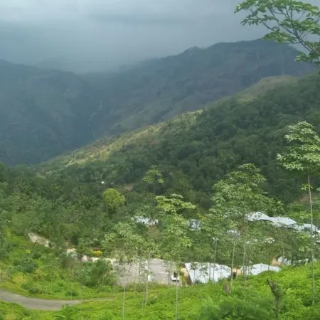 Ella Water Fall Resort