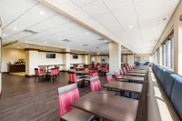 Comfort Inn & Suites Event Center - Pet friendly