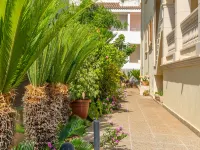 Llepol - Apartment In Port D'alcudia. Free Wifi - جاكوزي