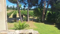 House in a romantic citrus grove, private access to the beach, relax and tranquility! Hotel in zona Themes Formation Center - Scuola Superiore di Informatica