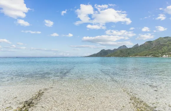 阿納帕海灘旅館