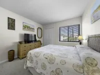 Pura Vida Pure Life - Expansive Views of the Ocean and Wide Sandy Beach 1 Bedroom Condo by RedAwning