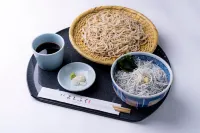 Iza Enoshima Guest House and Bar Hotels in Fujisawa