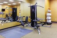 Holiday Inn BATESVILLE by IHG - Gym