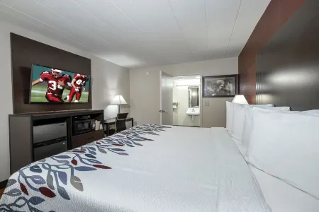 弗裏霍爾紅屋頂酒店