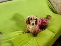 B M SURF CAFE LODGE Hotel a Tosa