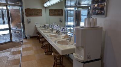 その他 胡蝶蘭の写真