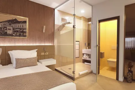 Hotel Vila Class Отели в г. Сату-Маре