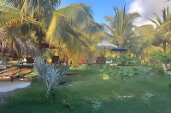 Casa Las Palmas Playa la Saladita Hotels in 