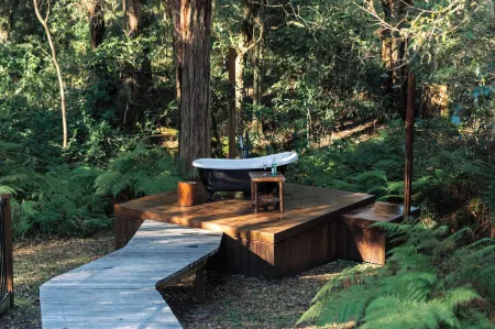 Krishna Farm Retreat Отели рядом с достопримечательностью «Mapleton Observatory»