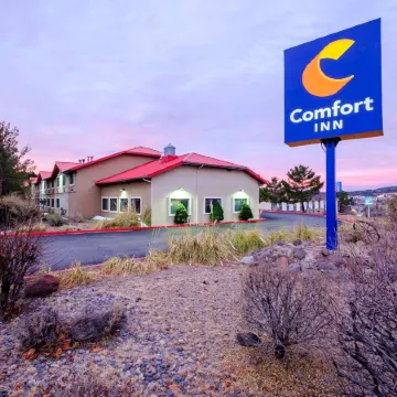 Comfort Inn Near Gila National Forest
