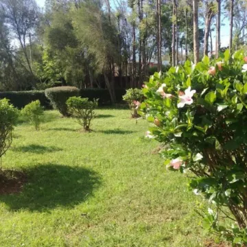 Wooden Knee Cottages Nanyuki