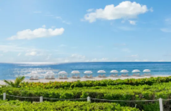 Trump International Beach Resort - Sunny Isles Beach