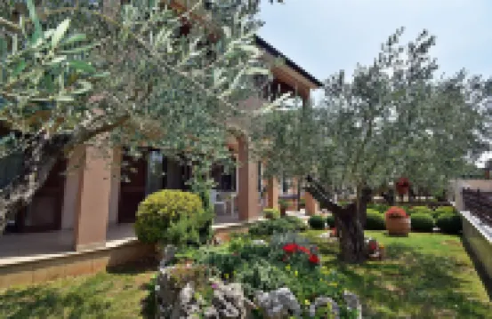 Apartment With Terrace & Lovely Garden