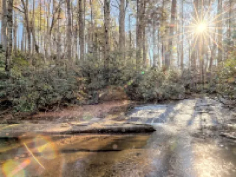 The Spotted Owl Hotels in Highlands