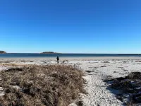 Quiet Cottage Surrounded by Beaches, Restaurants, Hiking, Shops & Kennebunkport - Wifi