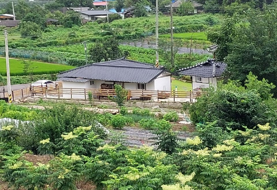 군위 펜션 마당