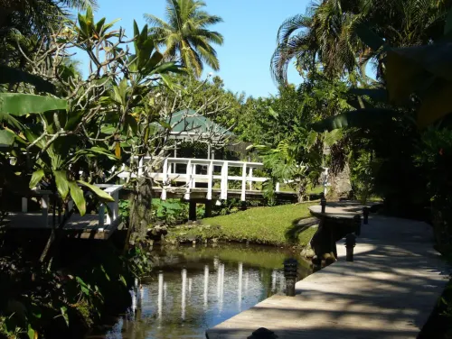 Muri Beachcomber - Apartments