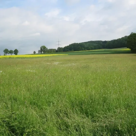 Ferienwohnung im Obergeschoss, Homberg