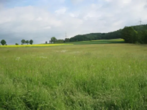 上層樓的度假公寓，霍姆貝格