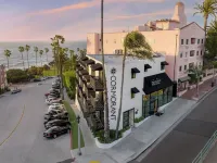 Cormorant Boutique Hotel Hotels near Scripps Institute of Oceanography Coastal Reserve