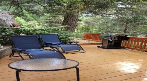 Mountain Cottage Serenity Surrounded by Majestic Forests 5 min to Lake Arrowhead